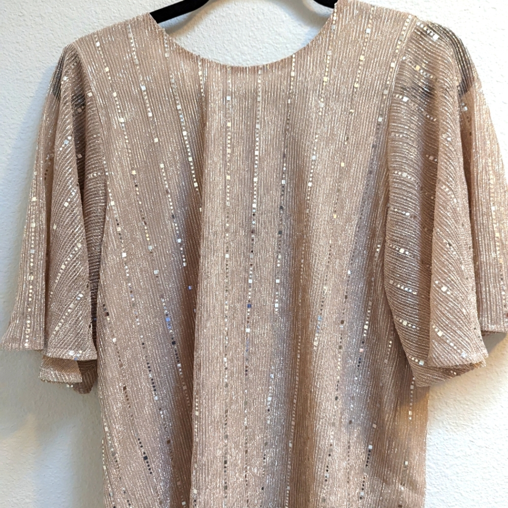 Sweet Rain sequin blouse